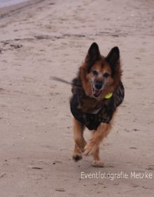IMG_6829_II.jpg