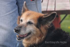 IMG_9502_II.jpg