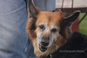 IMG_9503_II.jpg